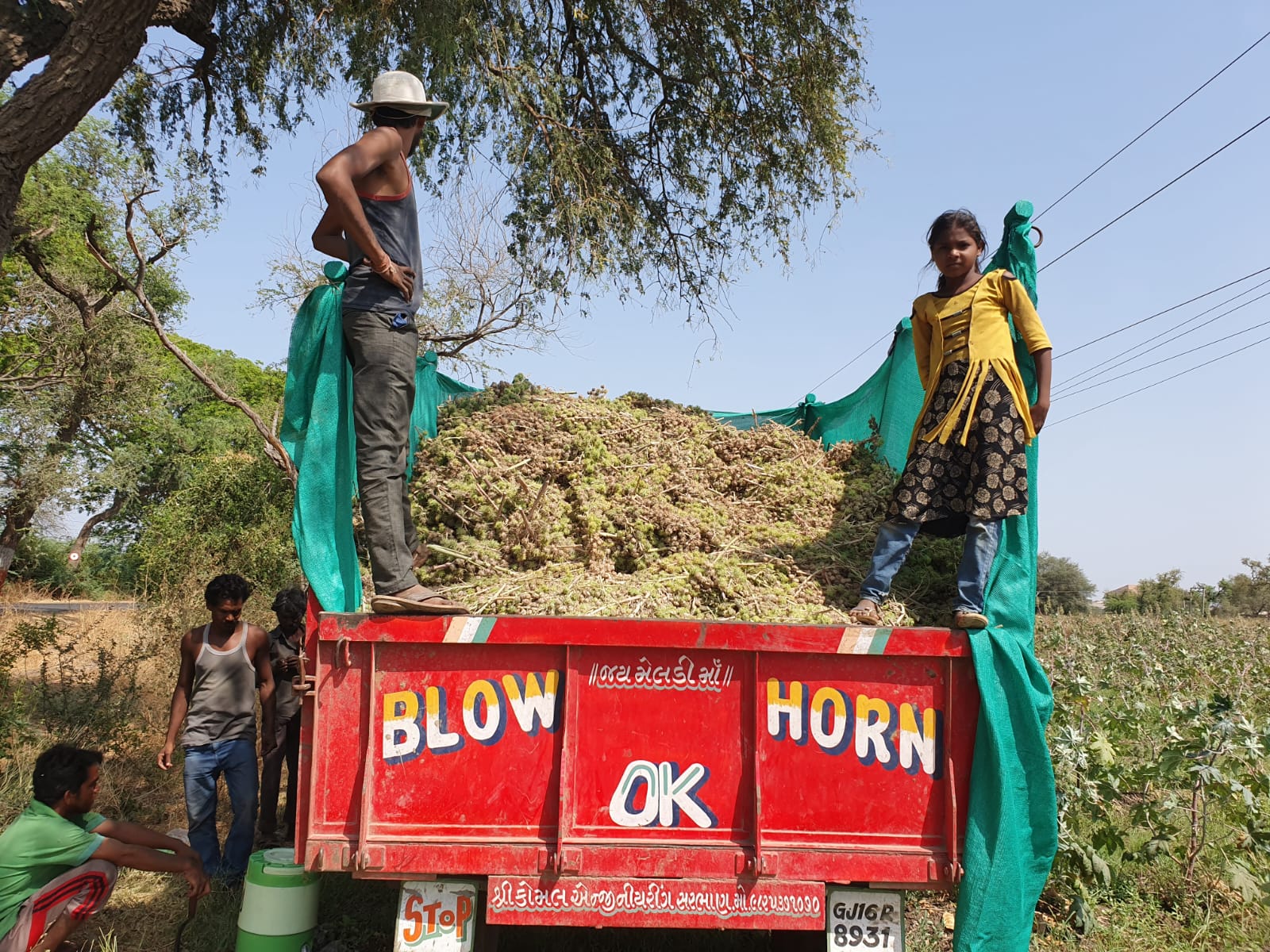 OMKAR DIVELA